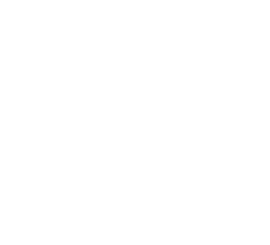 Iowa Cubs