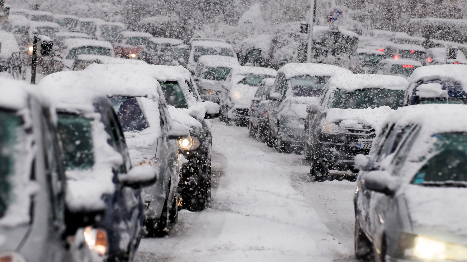 Lines of cars, covered in snow, wait on snow-covered roads.